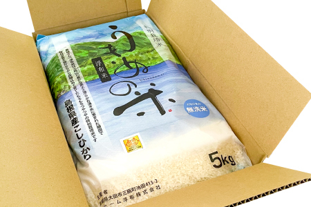 さんべ浮布米（無洗米）定期便（5kg×5回コース）【令和7年産 コシヒカリ 無洗米 5kg 5回 定期 2025年産 こしひかり 5kg×5回 合計25kg 5回定期便 特別栽培米 島根県産 大田市産 減農薬】