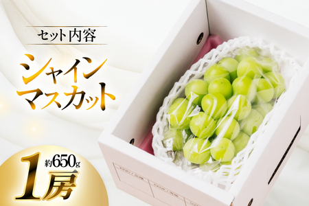 【期間限定発送】 シャインマスカット 1房 約 650g [いわた果樹園 山形県 高畠町 tk06ayt400000]