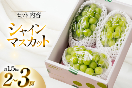 【期間限定発送】 シャインマスカット 2?3房 約 1.5kg [いわた果樹園 山形県 高畠町 tk06ayt400001]