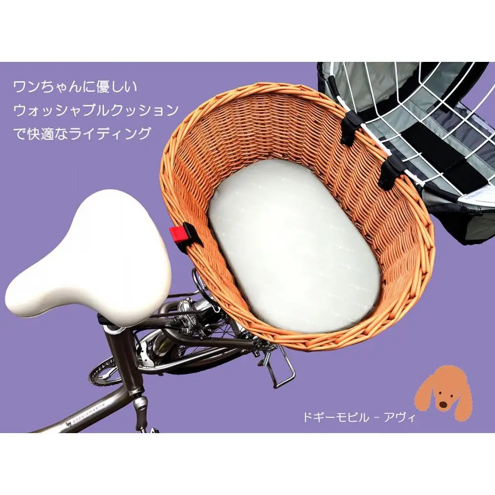 AWY (アヴィ)　20インチ　自転車