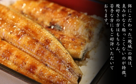 鰻 国産 うなぎの蒲焼き 3尾入（特製タレ付） / 鰻城 うなぎ ウナギ 蒲焼 簡単調理 時短 小分け 電子レンジ