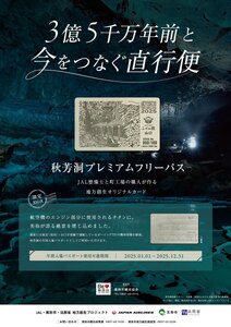 数量限定 秋芳洞プレミアムフリーパス
