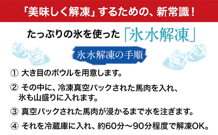 【6ヶ月定期便】馬刺し プレミアム 1kg |馬刺し