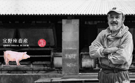 【おきなわ紅豚】豚肉専門店が作る手作りの紅豚バラエティセット 豚肉 セット 豚肉 セット 豚肉 セット 味噌漬け 餃子 ソーセージ