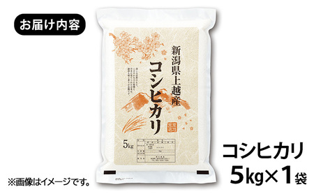【新潟県上越市産　令和7年産】栽培期間中 農薬不使用コシヒカリ5kg 精米 米