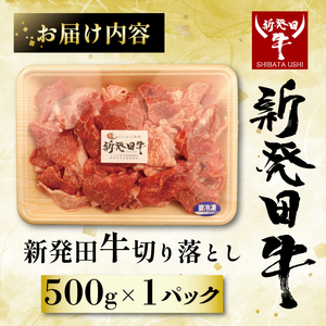 新発田牛 牛肉切り落とし 500g  牛肉切り落とし enomoto001