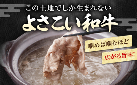 【6回定期便】高知県産 よさこい和牛 上赤身 しゃぶしゃぶ用 総計約6kg / 牛肉 牛肉しゃぶしゃぶ 牛肉 牛肉しゃぶしゃぶ 牛肉 牛肉しゃぶしゃぶ [ATAP124]
