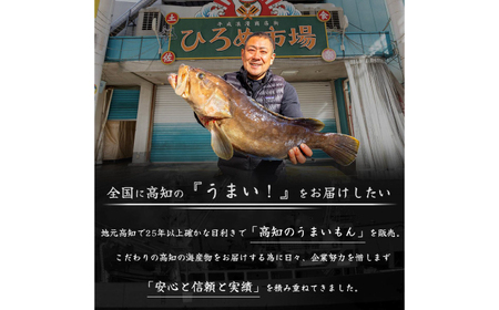 高知県産 うなぎ 長蒲焼2尾 約160g×2 (2?4人前)/ 鰻 ウナギ 土用丑の日 高知産 うなぎ 【土佐黒潮水産】[ATCQ009]