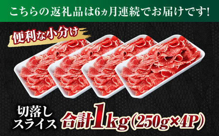 【6回定期便】飛騨牛切り落とし 1kg（250g×4P）すき焼き 焼肉 小分け 岐阜市 / 丸福商店[ANBO049]