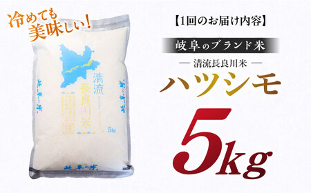【6回定期便】【R7年産】白米ハツシモ 5kg 白米 5kg 白米定期便[ANCU006]