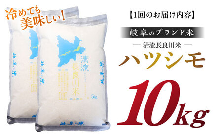 【3回定期便】【R7年産】 白米ハツシモ 10kg 白米 10kg 白米定期便[ANCU008]