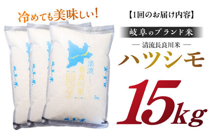 【6回定期便】【R7年産】白米ハツシモ 15kg 白米 15kg 白米定期便[ANCU012]