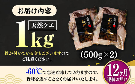 【全12回定期便】【 対馬産 】 天然 クエ 1kg（500g×2）（切り身） 鍋 水炊き 海鮮 クエ 天然クエ [WAB026]