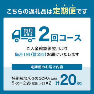 【定期便2か月】特別栽培米 京都府木津川市産 ひのひかり 玄米20kg（10kg×2回）毎日の健康に 053-35