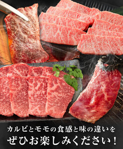 熊本和王 焼肉 食べ比べセット カルビ ・ モモ 約150g × 2パック 合計約300g ケーズフードマーケティング《90日以内に出荷予定(土日祝除く)》熊本県 菊池市 食べ比べ 2種類 セット お肉 牛肉 和牛 くまもと黒毛和牛 熊本県産 九州産 国産