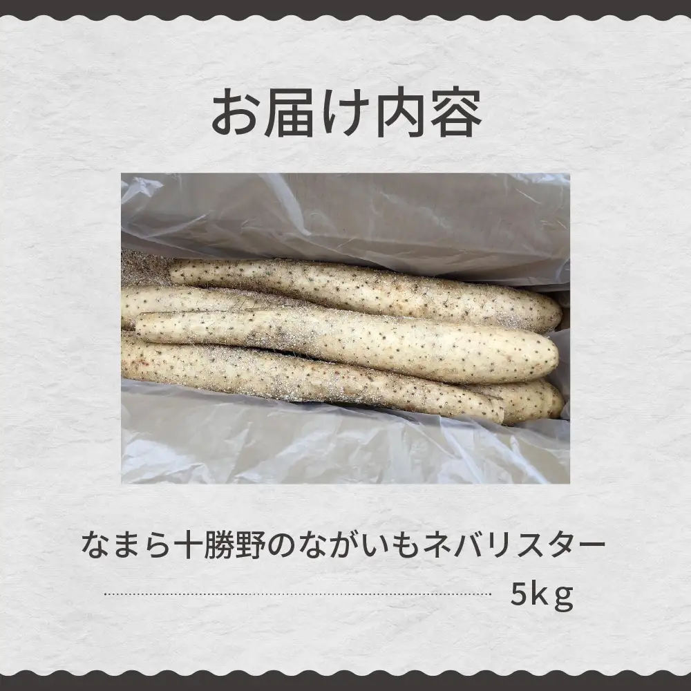 【先行受付】【2026年12月中旬より順次発送】北海道十勝芽室町　なまら十勝野のながいも　ネバリスター 5kg　長芋 長いも  とろろ 芋 北海道 十勝 芽室町 送料無料 お取り寄せ me001-047c