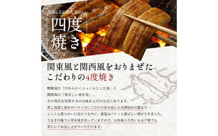 【最速発送】鰻 完全無投薬鰻 仁淀川鰻蒲焼き  大 (約200g×3尾)  / 鰻 鰻蒲焼 鰻蒲焼き [ATBE021]　スピード 最短 最速 発送