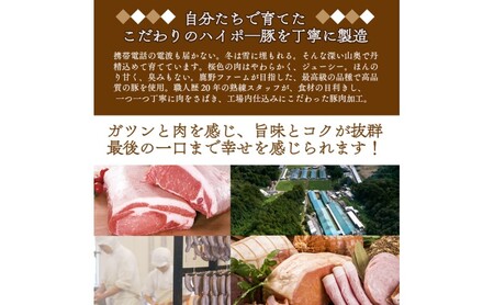 豚肉 阿武町産 豚肉 盛り合わせ 4.5kg | 携帯の電波も届かない環境で育った旨みたっぷりのハイポー豚 豚 肉 お肉 ※配送不可:離島