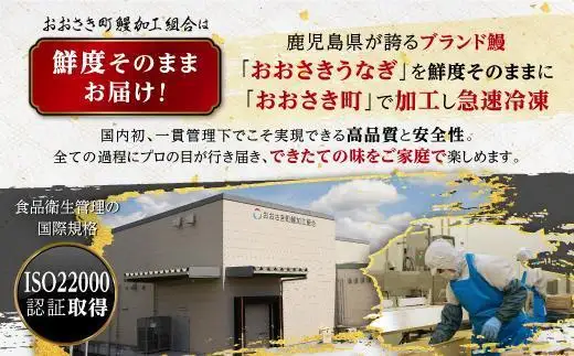 【定期便】おおさきうなぎ 鹿児島県産 うなぎ 長蒲焼2尾（全12回）合計24尾 