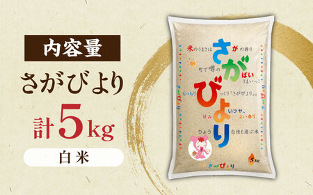 令和7年産 さがびより 白米 5kg / 白米 [41ADAR015-07]