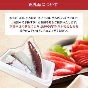 下処理済 おまかせ鮮魚フィレ(かつお、ぶり、かんぱち、ネイリ、鯛、ひらめ、ハガツオなど) 1~2種 約500g(2~3人前) 【R01340】