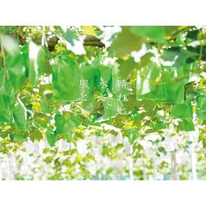 厳選 ニューピオーネ 2房 合計1.0kg以上 産地直送 朝採れ ぶどう 葡萄 Kawahara Green Farm 岡山県産 2026年