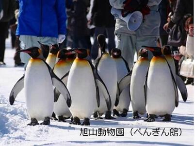 【旭川市】JTBふるさと旅行券（90,000円分）有効期間5年 | 旅行券
