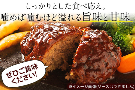 馬肉入り手作りハンバーグ(約150g×9個)　肉の宮本《45日以内に出荷予定(土日祝除く)》