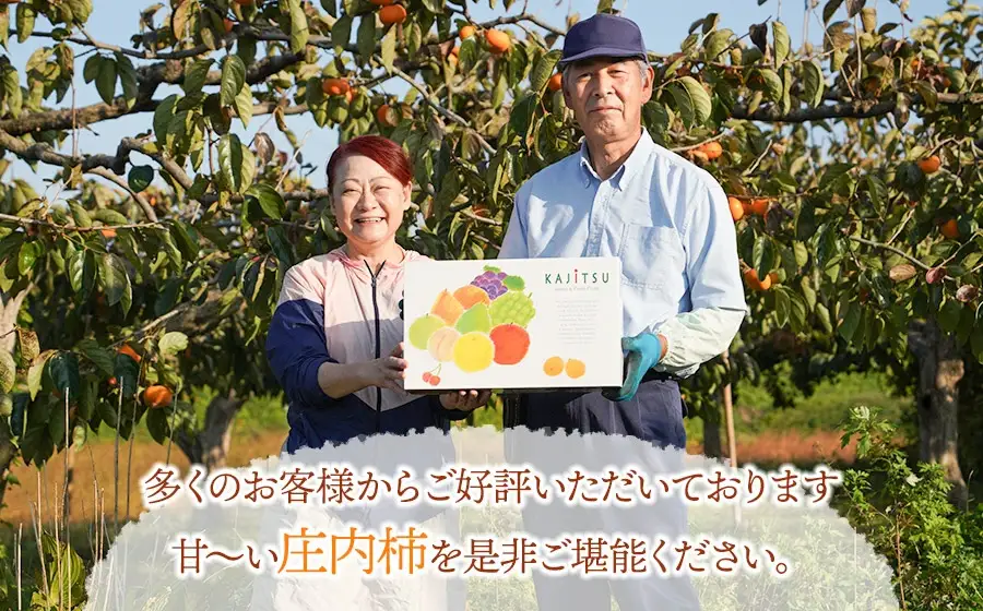 【令和8年産先行予約】にこにこふぁーむのあまーい種無し庄内柿　ホワイトリカー35度で渋抜き済　M～Lサイズ 約3kg（12～18個入）山形県鶴岡市　K-838　| 柿 カキ 果物 くだもの フルーツ 産地直送 旬 期間限定 甘い おすすめ 人気 お取り寄せ 返礼品