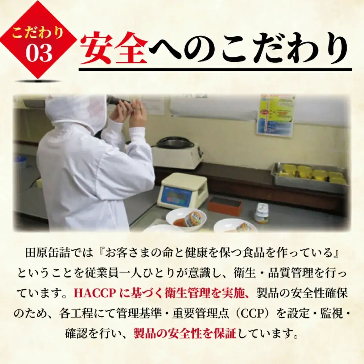 【 缶詰 】 サーモン水煮 8個 | 缶詰