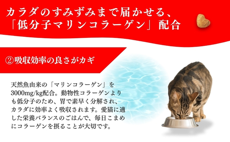 日本ペットフード ビューティープロ キャット 避妊・去勢後用 1.4kg（280g×5袋入）×8袋（ケース） キャットフード