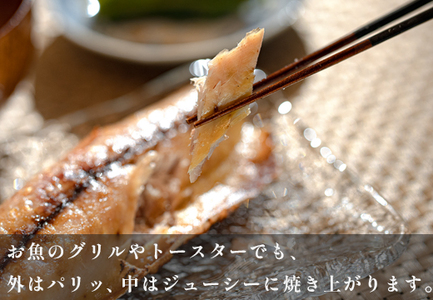 【6回お届け】こだわりの一夜干しセット(12枚~15枚)