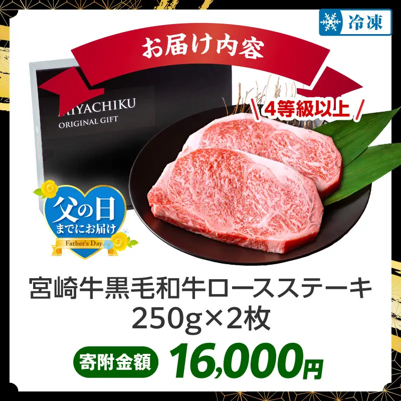 牛肉 ステーキ 牛肉[黒毛和牛 ロース 500g 畜産農家応援！]