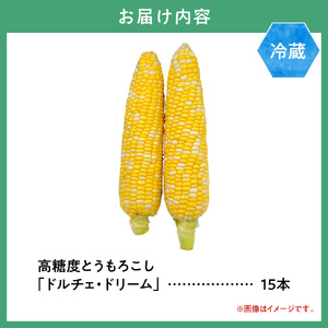 【2026年先行予約】野口農園 高糖度 とうもろこし「ドルチェドリーム」15本 