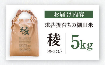【新米】求菩提米 夢つくし 5kg (5kg×1袋) [VCO003] 米 お米 白米 5キロ 米5kg 米5キロ 新米 産地直送 精米 国産 おすすめ おいしい 2025年 甘い 人気 ランキング