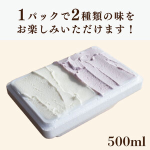 ジェラート イタリアンジェラート 1000ml ( 500ml × 2 ) 選べるフレーバー 4種 アイス