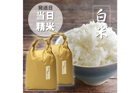 白米 精米 令和7年 元気つくし 5kg 2袋 [um40azp190011]