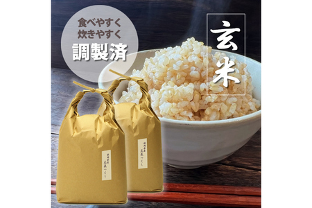 玄米 令和7年産 元気つくし 5kg 2袋 [um40azp190012]