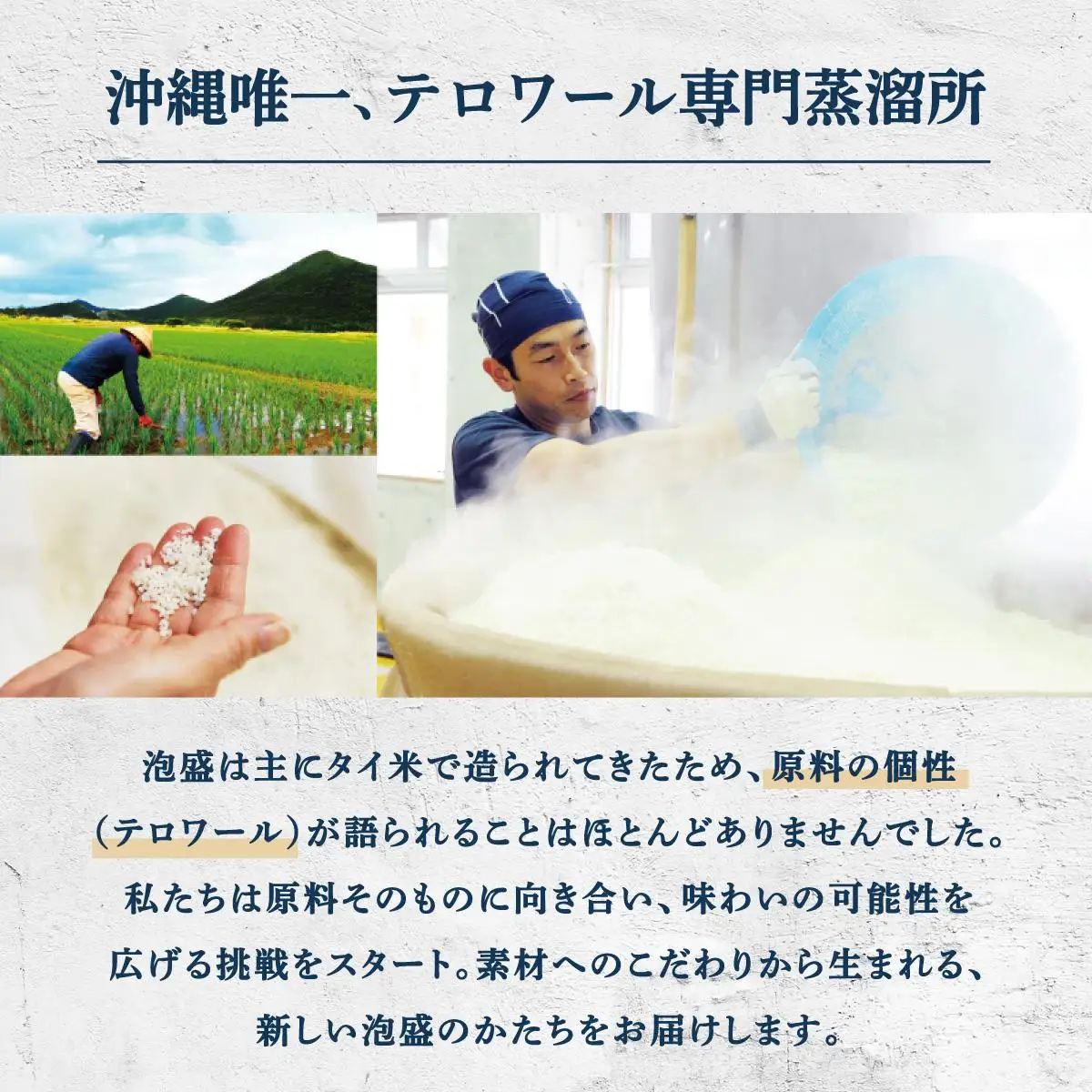 【2025IWSC最高賞】月の蒸溜所 43度 500ml