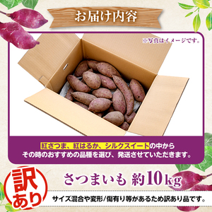 ＜先行予約受付中！2026年8月下旬以降順次発送予定＞訳あり！さつまいも (約10kg) 鹿児島県 阿久根市 さつま芋 サツマイモ 紅はるか 紅さつま シルクスイート 訳アリ 野菜 芋 イモ【松永青果】akn053-20