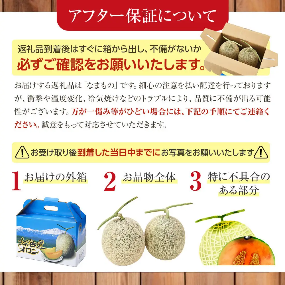 【26年発送先行予約】北海道 秀品 「赤肉メロン」LL玉×2個 (2026年7月発送開始予定) _04754