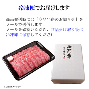 山形牛 焼き肉 セット モモ バラ 各250g (500g) 山形県産 牛肉 おかず 山形県