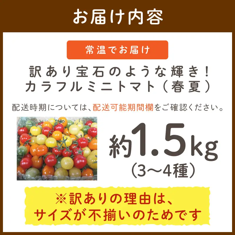 【トマト】訳あり春夏ミニトマト 1.5kg
