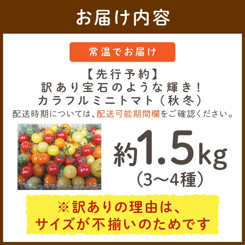 訳あり カラフルミニトマト 約1.5kg 秋冬発送【ミニトマト】
