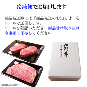 山形牛 ステーキ セット ヒレ 2枚 (300g) サーロイン 2枚 (400g) 山形県産 牛肉 おかず 山形県
