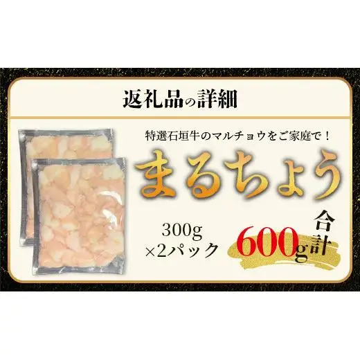 マルチョウ300g×2パック　IM-12