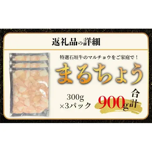 マルチョウ300g×3パック　IM-13