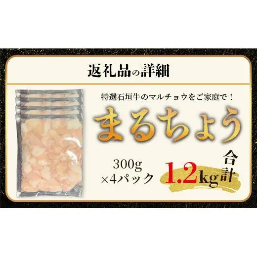 マルチョウ300g×4パック　IM-14