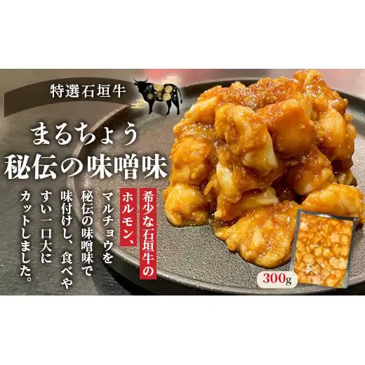 マルチョウ300g×2パック 秘伝の味噌味とプレーンの食べ比べセット　IM-18
