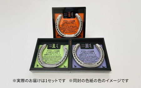 【JRA/日本中央競馬会】競走馬が使用した蹄鉄と蹄釘のセット [BICB001]